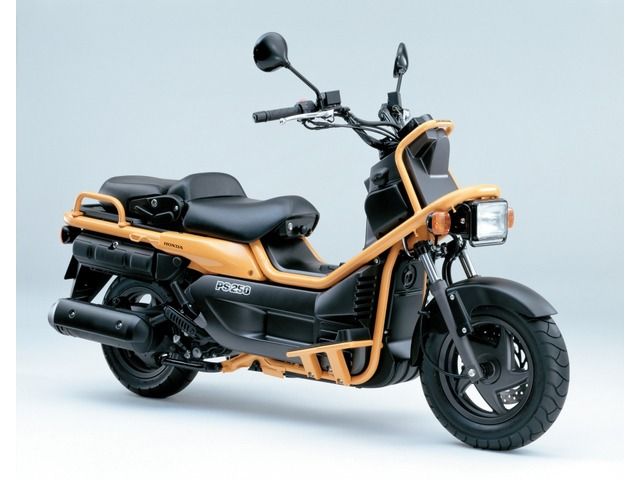 Honda PS250 (Big Ruckus)