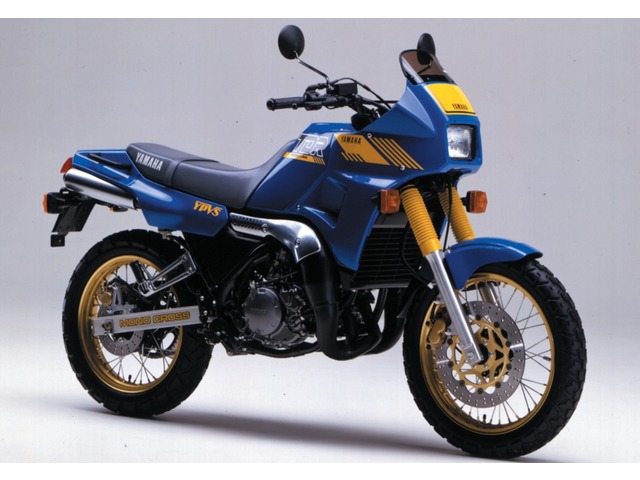 Yamaha TDR250 (Ultimate Dual)