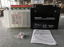 Ytx20L-BS-Mf Sealed Maintenance Free Battery 12V SMF PowersportMotorcyclesScooters Atvs