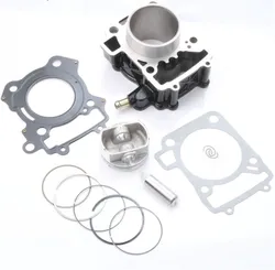 Guangzhou Danzhao Import & Export Co., Ltd. MotorcycleSparePartsMotorcycleCylinder Assy for Bajaj Plusar200 Ns Rouser200