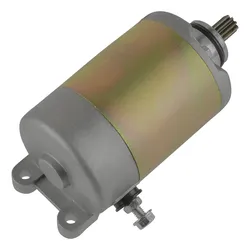 Chongqing Zhen Hao Auto Parts Co. Ltd. Alternator Starter Motor for Honda CH250Cn250Helix