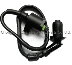 MotorcycleIgnition Coil for Honda CB50 Trx 90Atc25030510-GF9-405