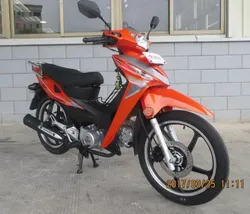 50cc/100cc New ModelCubHondaType Moto /Motorcycle/Motorcycle(SL110-4A)