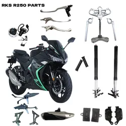 Rks R250 Lock,Directioner,Brake,Exhaust Pipe,Shock Absorber,Front and Rear Foot,Shift Lever,Brake Pedal,Headlight Bracket and Other IronAccessories