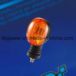 TvsMaxMotorcyclePartsMotorcycleTurning Light, Indicator, Turn Signal M10*1.25