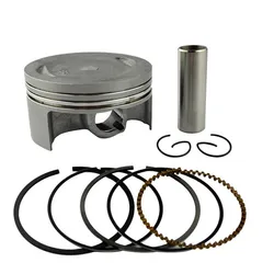 Hot SellingMotorcycleEngine Piston for Ybr250Xg250TrickerXt250 Serow Ys250 Yfm250