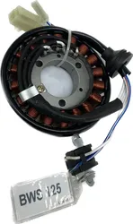Stator Alternator Fit for Fits YAMAHA Yw125 Zuma 125 Bws125 2016-20