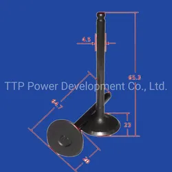 Yd100MotorcycleValve Inlet/ExhaustMotorcycleParts